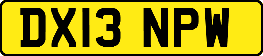 DX13NPW