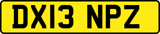 DX13NPZ