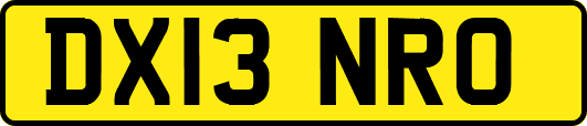 DX13NRO