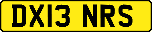 DX13NRS