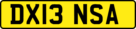 DX13NSA