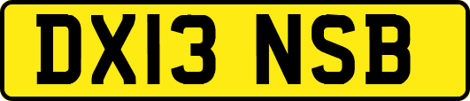 DX13NSB