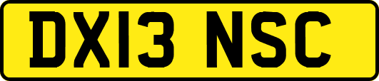 DX13NSC
