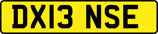 DX13NSE