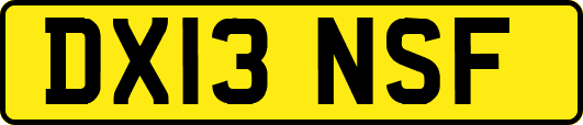 DX13NSF