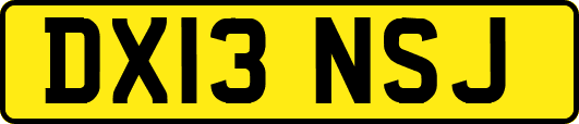 DX13NSJ