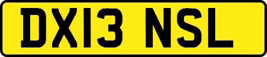 DX13NSL