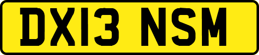 DX13NSM