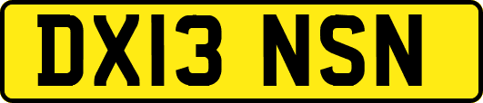 DX13NSN