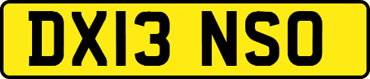 DX13NSO