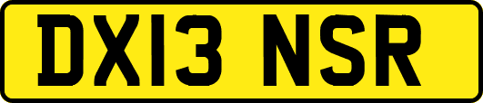 DX13NSR