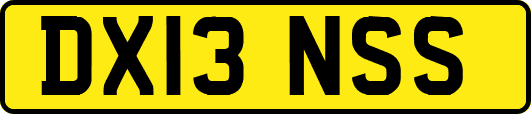 DX13NSS