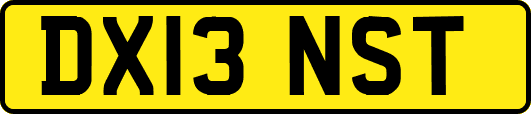 DX13NST