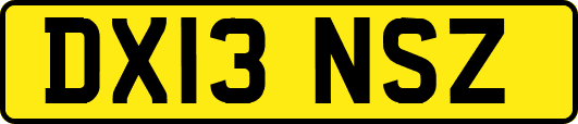 DX13NSZ