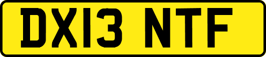DX13NTF