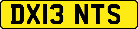 DX13NTS