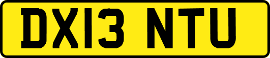 DX13NTU