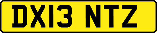 DX13NTZ
