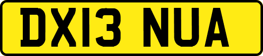 DX13NUA
