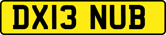 DX13NUB