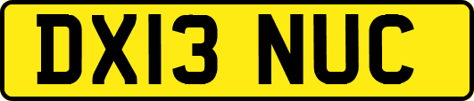 DX13NUC