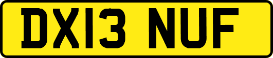 DX13NUF