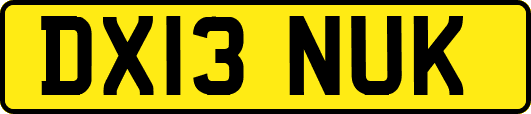 DX13NUK