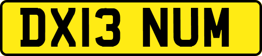 DX13NUM