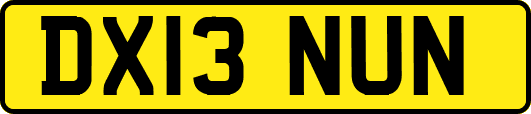 DX13NUN