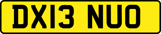 DX13NUO