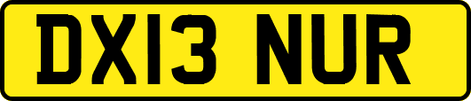 DX13NUR