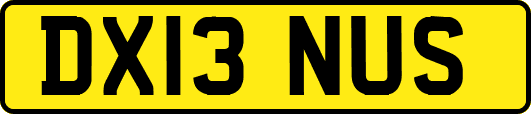 DX13NUS