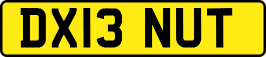DX13NUT