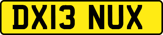 DX13NUX