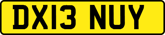 DX13NUY