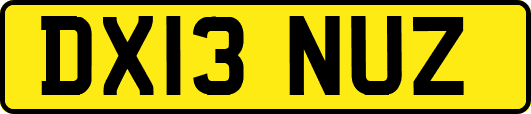 DX13NUZ