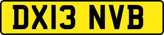 DX13NVB