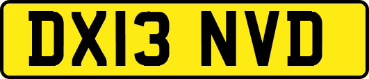DX13NVD