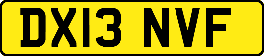 DX13NVF