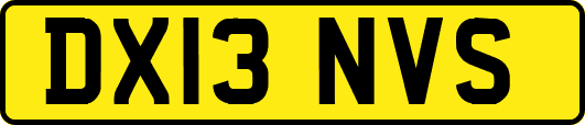 DX13NVS