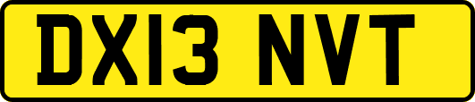 DX13NVT
