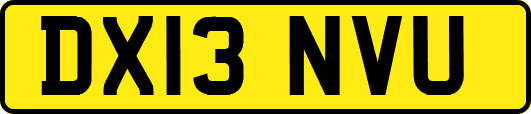 DX13NVU