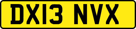 DX13NVX