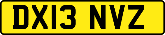 DX13NVZ
