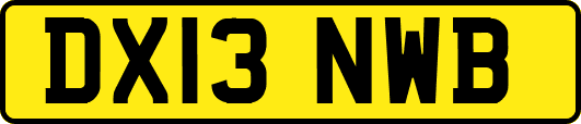 DX13NWB