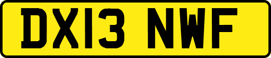 DX13NWF