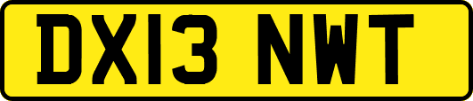 DX13NWT
