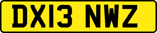DX13NWZ