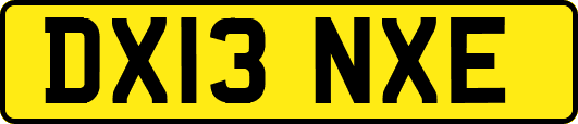 DX13NXE