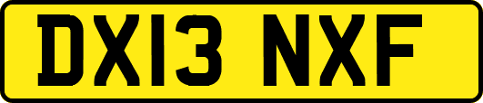 DX13NXF